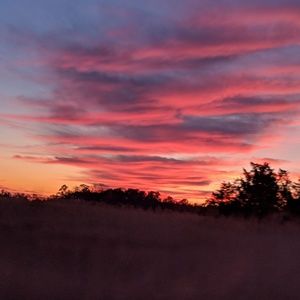 Meet your Posher, Michele